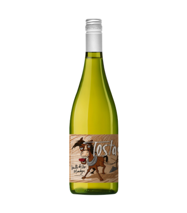 Manuel Mas Tostao Sauvignon Blanc 750 Ml | Fans del Vino