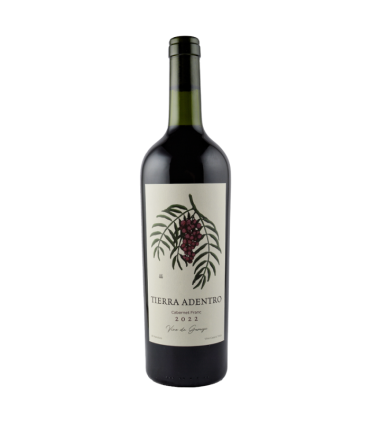 Vino Cabernet Franc Facundo Montane Tierra Adentro 750 Ml.