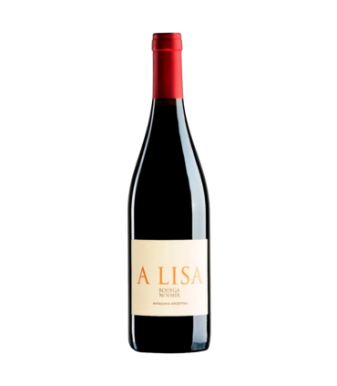 Vino Malbec Noemia A Lisa 750 Ml | FANS DEL VINO