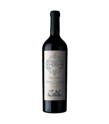 Vino Cabernet Franc Aleanna Gran Enemigo Cepillo 2020 750 Ml.