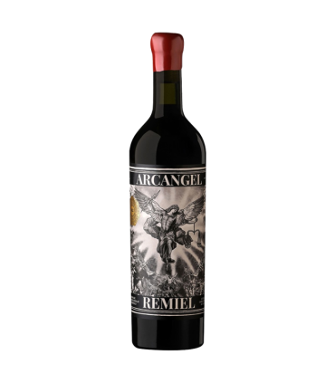 Vino Malbec Arcangel Remiel 2018 750ml.