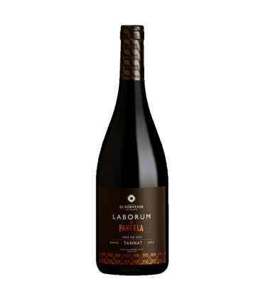 El Porvenir Laborum Parcela Tannat