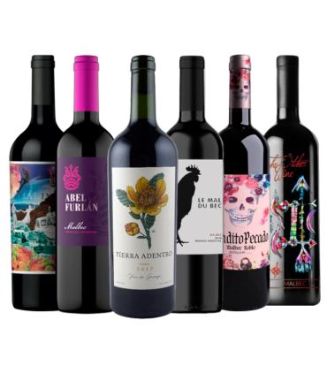 Vino Malbec De Garage Caja X6