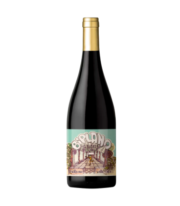 Vino Criolla Biplano Galeria 750 Ml | FANS DEL VINO