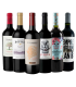 Promo Mendoza Tintos Caja X6