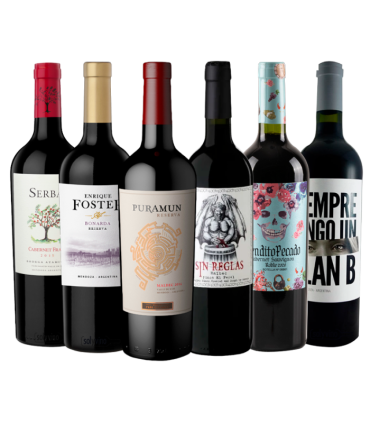 Promo Mendoza Tintos Caja X6