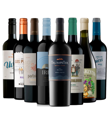 Combo Caja Mix X8 Economicos