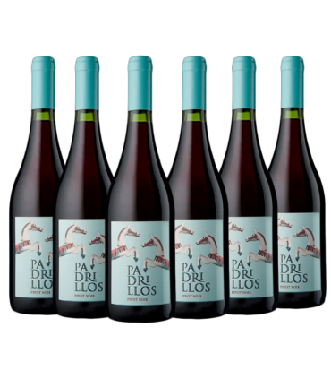 Vino Ernesto Catena Padrillos Pinot Noir Caja X6 | Fans del Vino