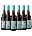 Vino Ernesto Catena Padrillos Pinot Noir Caja X6