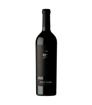 Alma Negra Magnum 1.5 L | Fans del Vino Mendoza