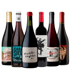 Tintos Experimentales Caja Mix X6 | Fans del Vino