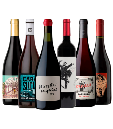 Tintos Experimentales Caja Mix X6 | Fans del Vino