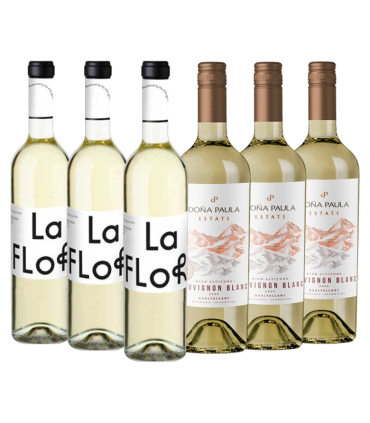 Frescura Andina Caja Mix X6 | Fans del Vino