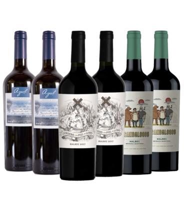 Malbec Con Actitud Caja Mix X6 | Fans del Vino