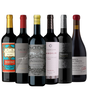 El ADN Del Malbec Caja Mix X6