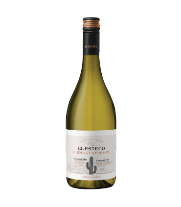 Vino Torrontes El Esteco Blend De Extremos 750 Ml | FANS DEL VINO