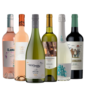 Promo Variadito Varietal Caja Mix X6 | FANS DEL VINO
