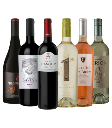 Promo Uvanizados Caja Mix X6 | FANS DEL VINO