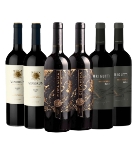 Promo Malbec Grandes Ligas Caja Mix X3 | FANS DEL VINO