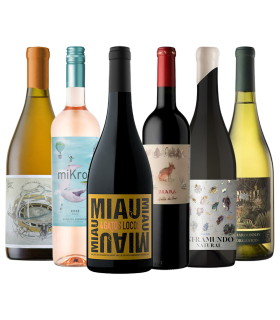 Promo Vivo Vino Caja Mix X6 | FANS DEL VINO