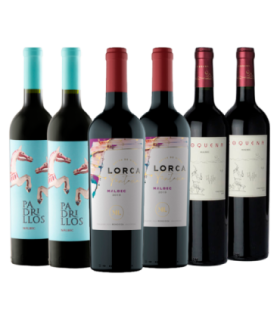 Malbec Federal Caja Mix X6