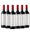 Vino Bianchi River Grato Nombre Malbec Caja X6