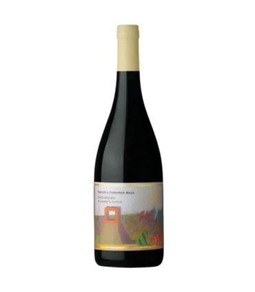 Vino Pinot Noir Saint Felicien Tributo A Fernando Maza 750 Ml