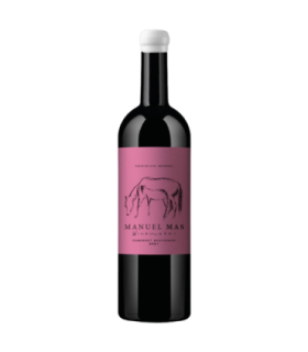Vino Cabernet Sauvignon Manuel Mas 750 Ml