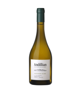 Vino Sauvignon Blanc La Coste De Los Andes Andillian 750 Ml