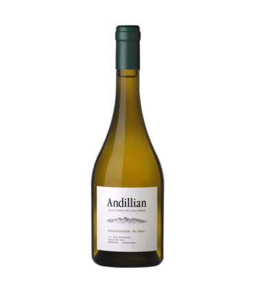 Vino Sauvignon Blanc La Coste De Los Andes Andillian 750 Ml