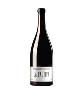 Vino Malbec Michelini I Mufatto La Cautiva 750 Ml
