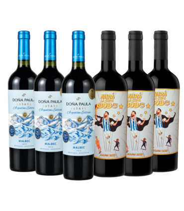Promo Mundial Mix Caja X6 Argentinidad Al Palo