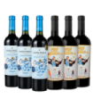 Promo Mundial Mix Caja X6 Argentinidad Al Palo